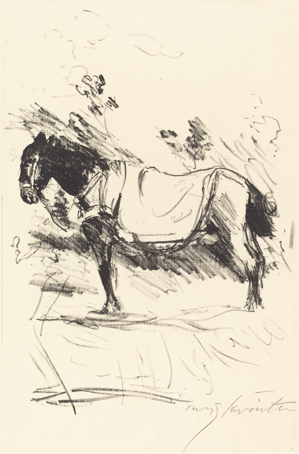 Riding-Horse (Reitpferd)