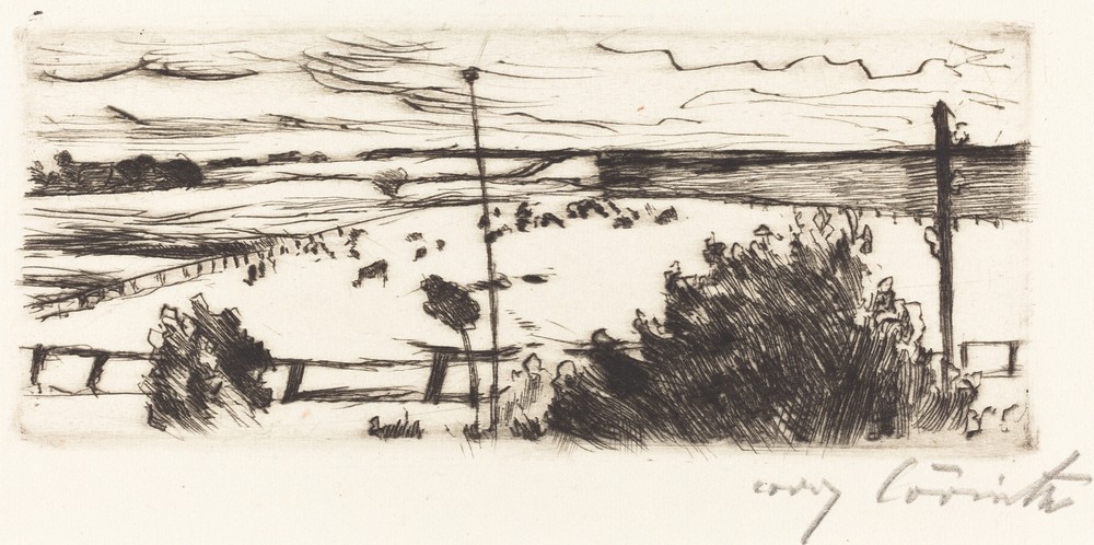 Seascape (Küste)