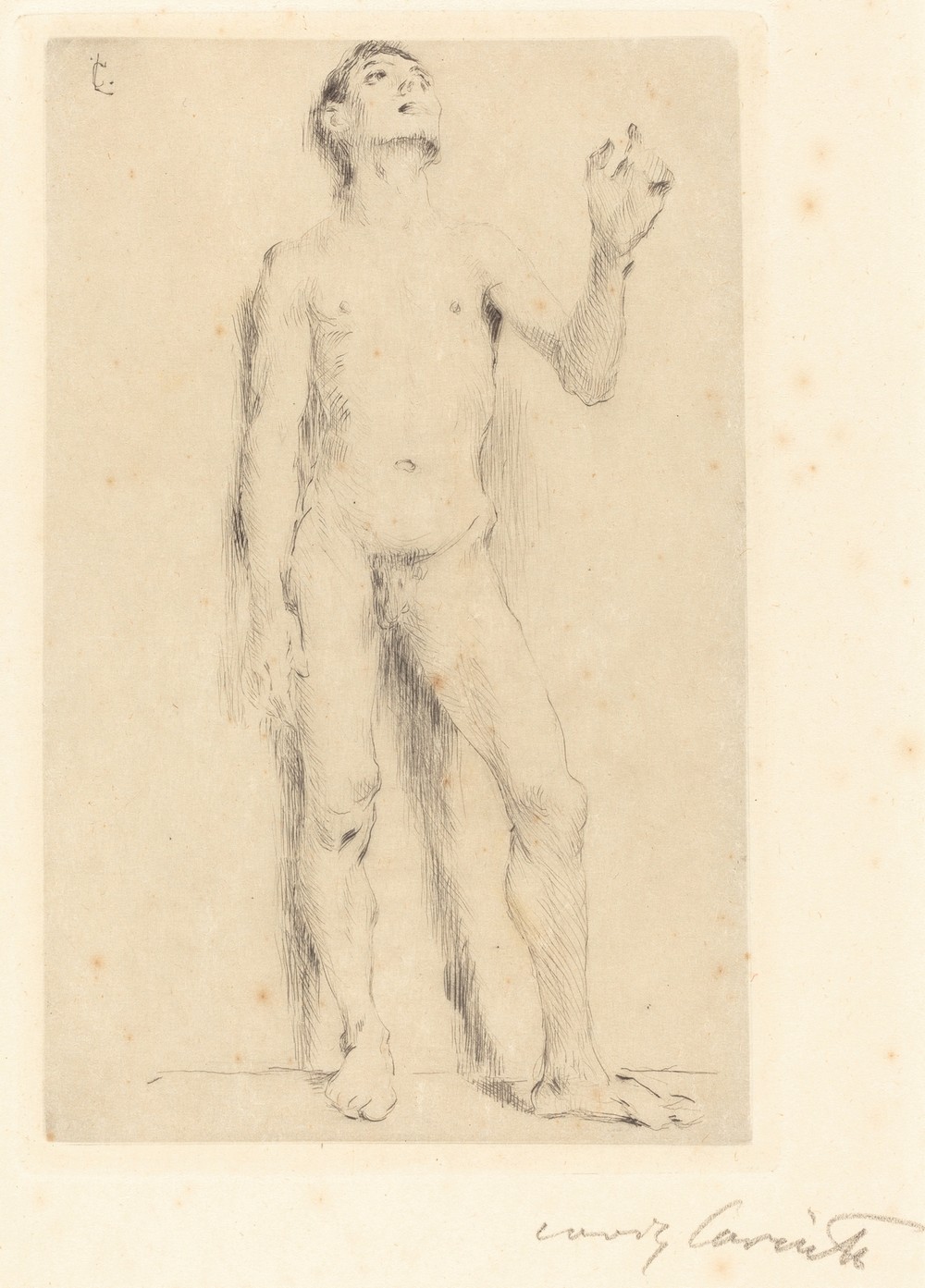 Young Male Nude (Jünglingsakt)