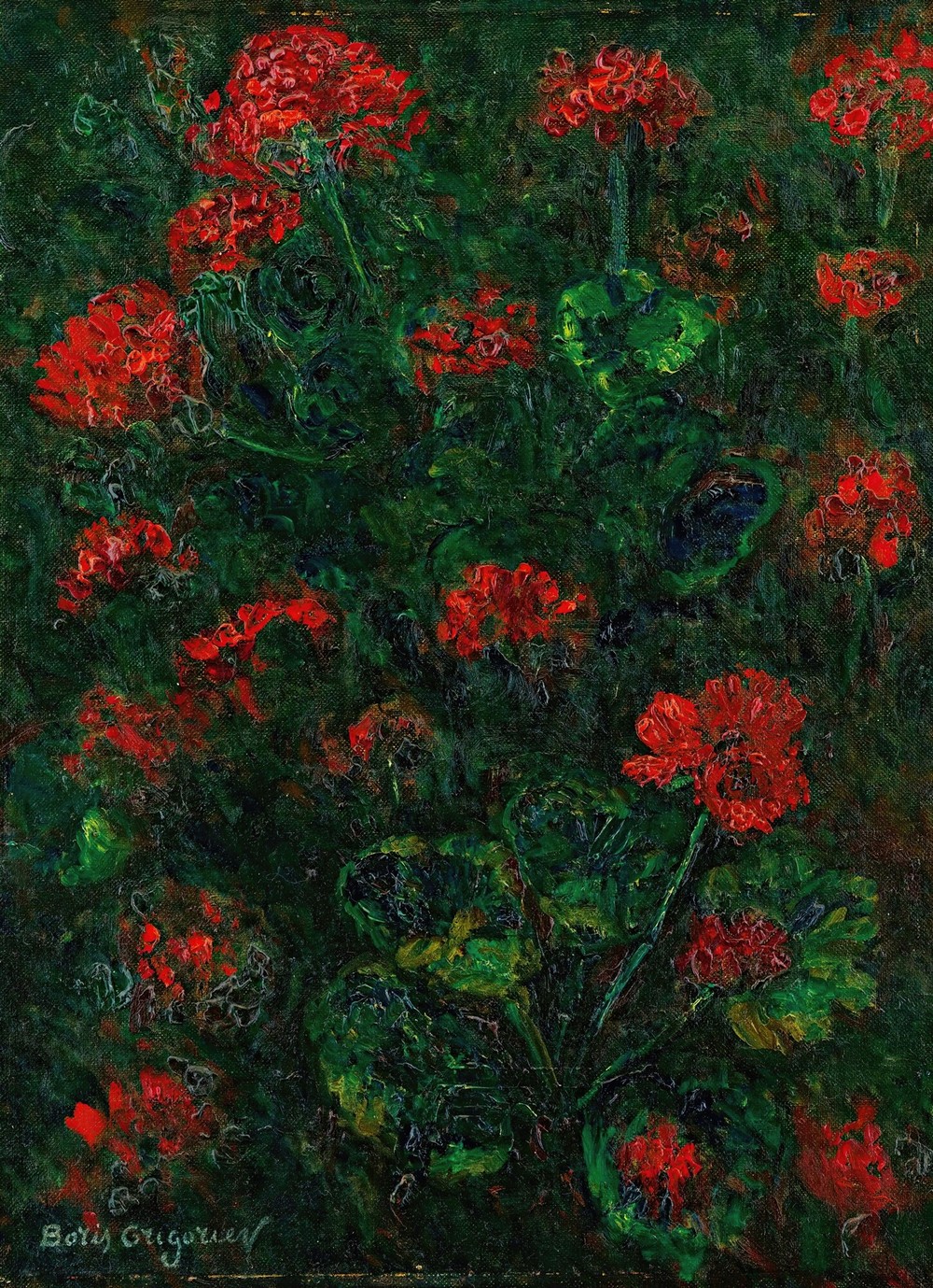 Geraniums