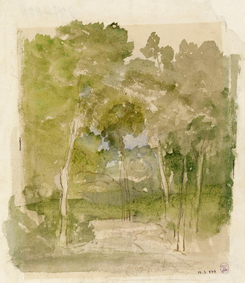 Sous bois