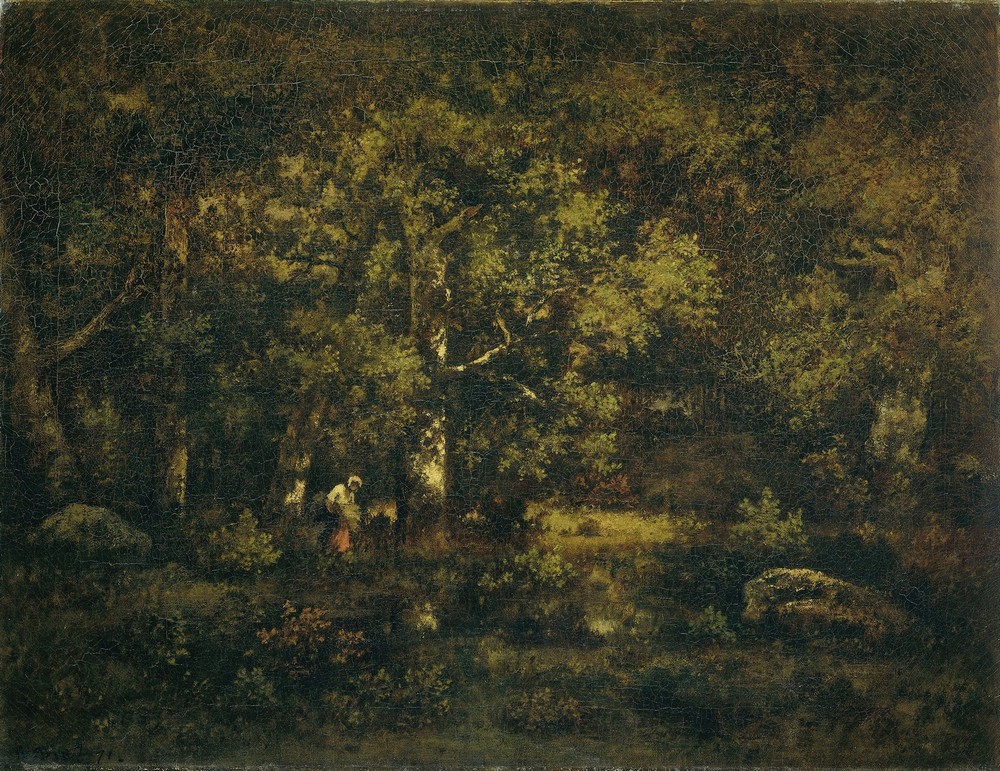 The Forest of Fontainebleau