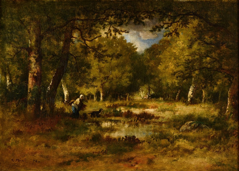 Sous-bois