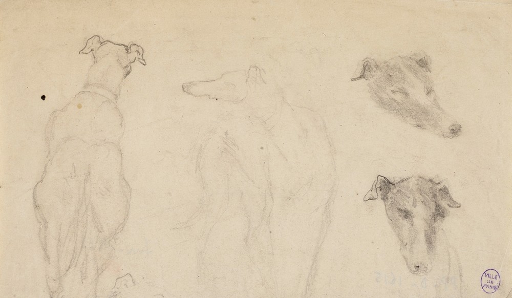 Deux esquisses de chiens, et deux croquis de tête de chien
