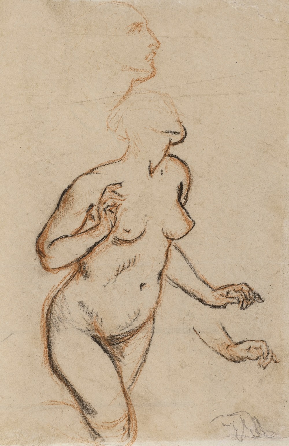 Femme nue