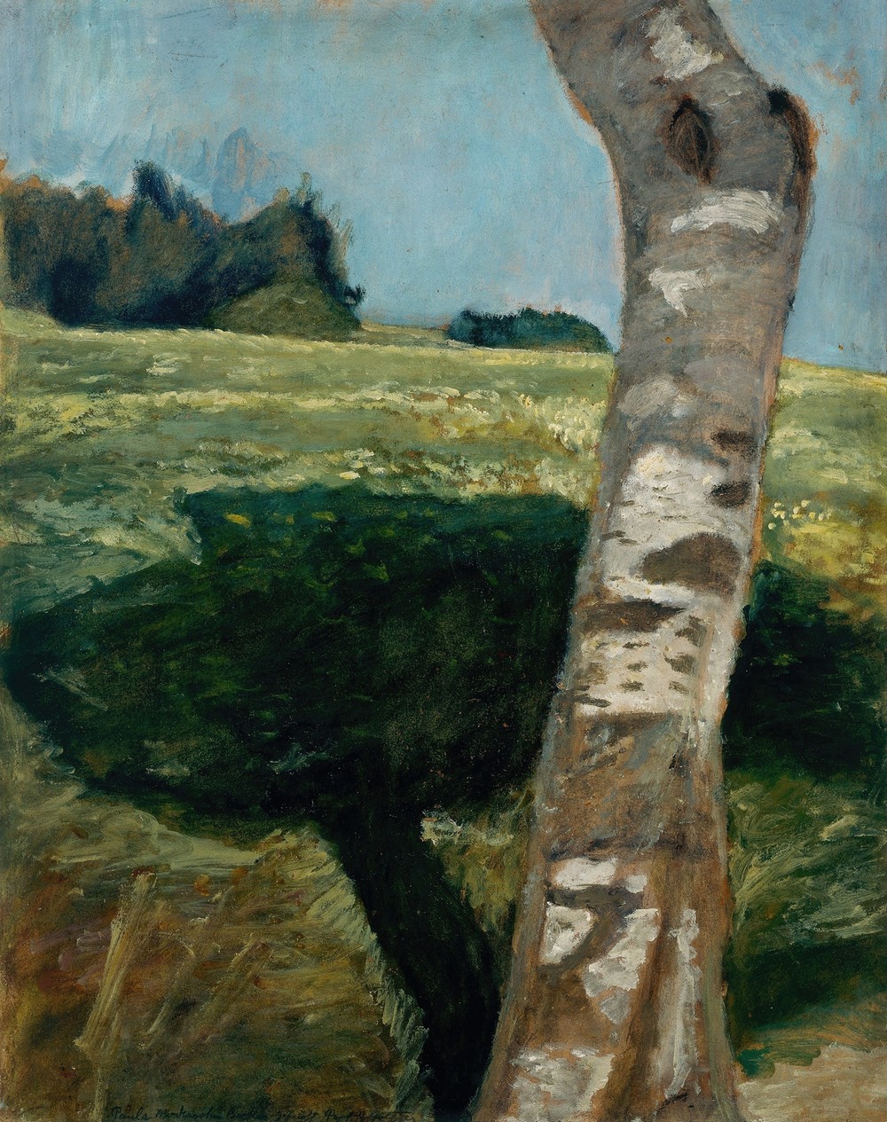 Birch trunk (circa 1902-1903)