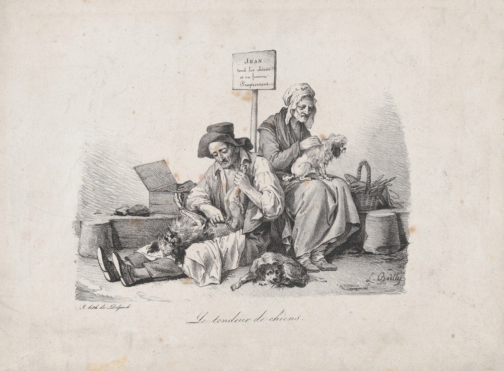 The Dog Shearer