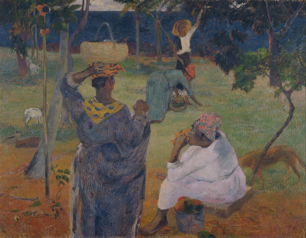 The Mango Trees, Martinique