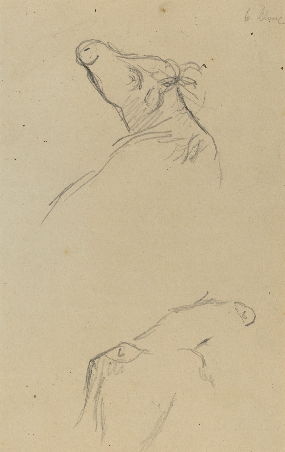 Two Cow’s Heads (verso)