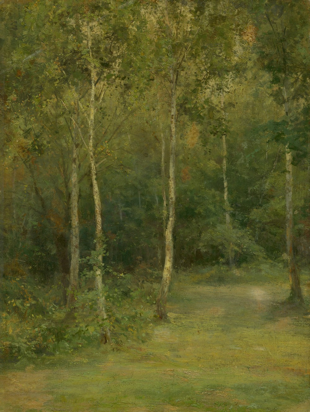 Wooded Landscape With Little Birches