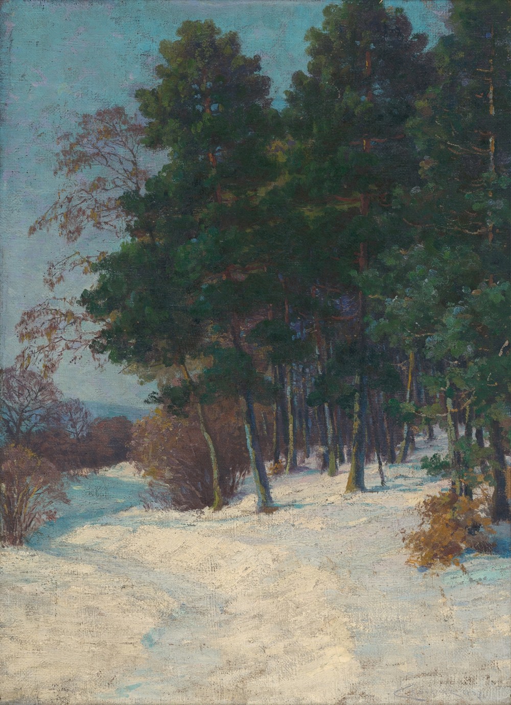 Forest in winter