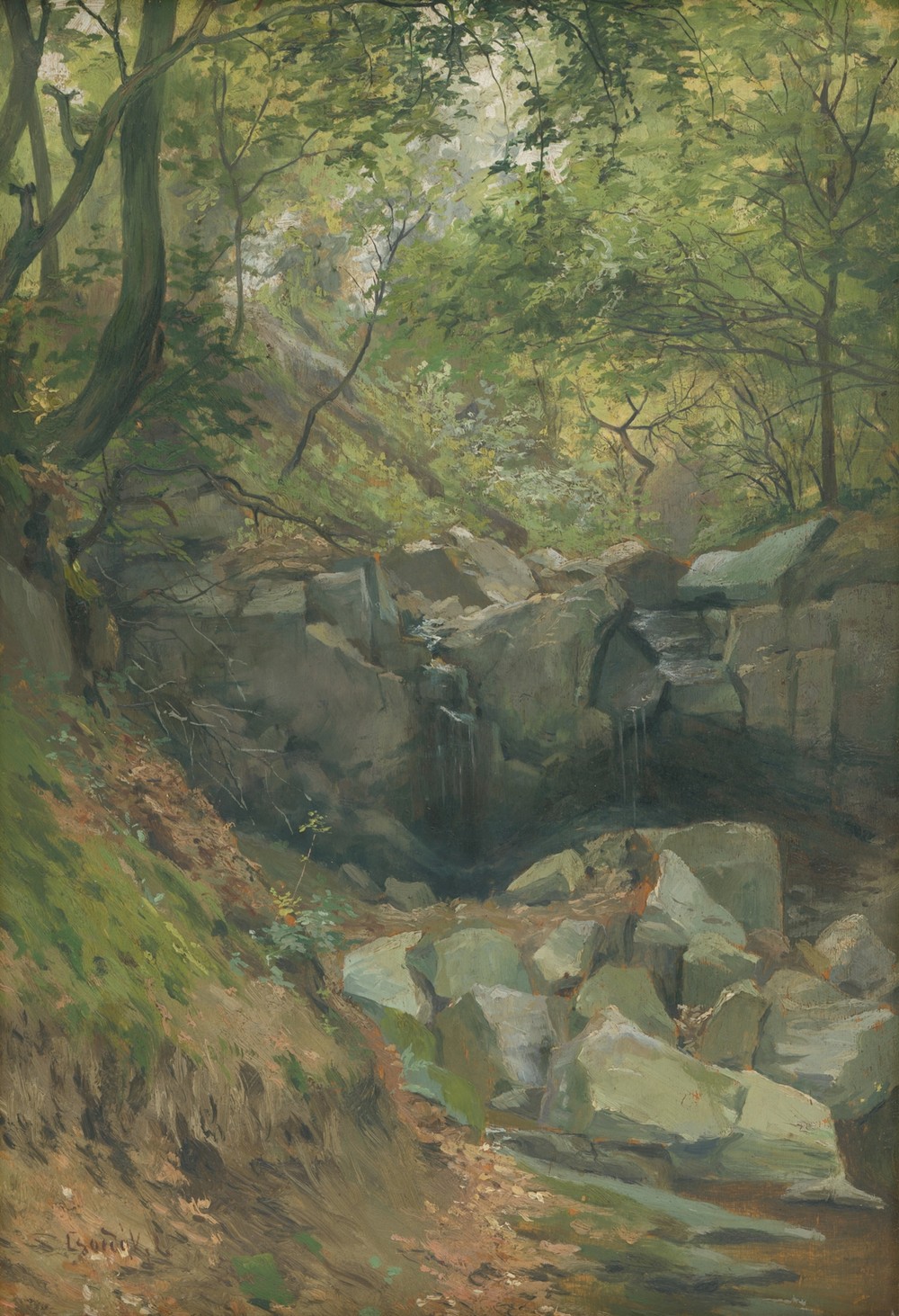 Forest stream