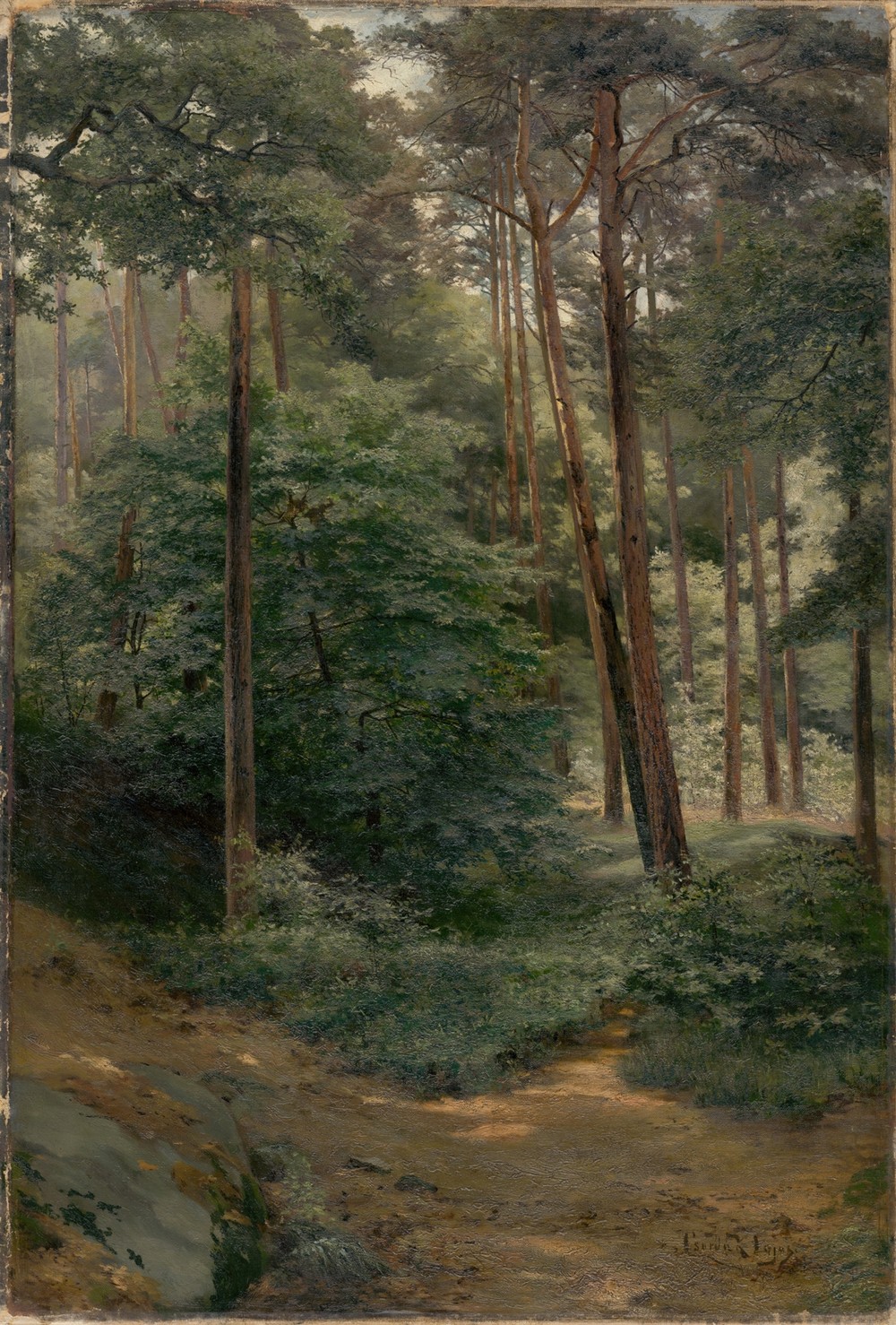 Forest