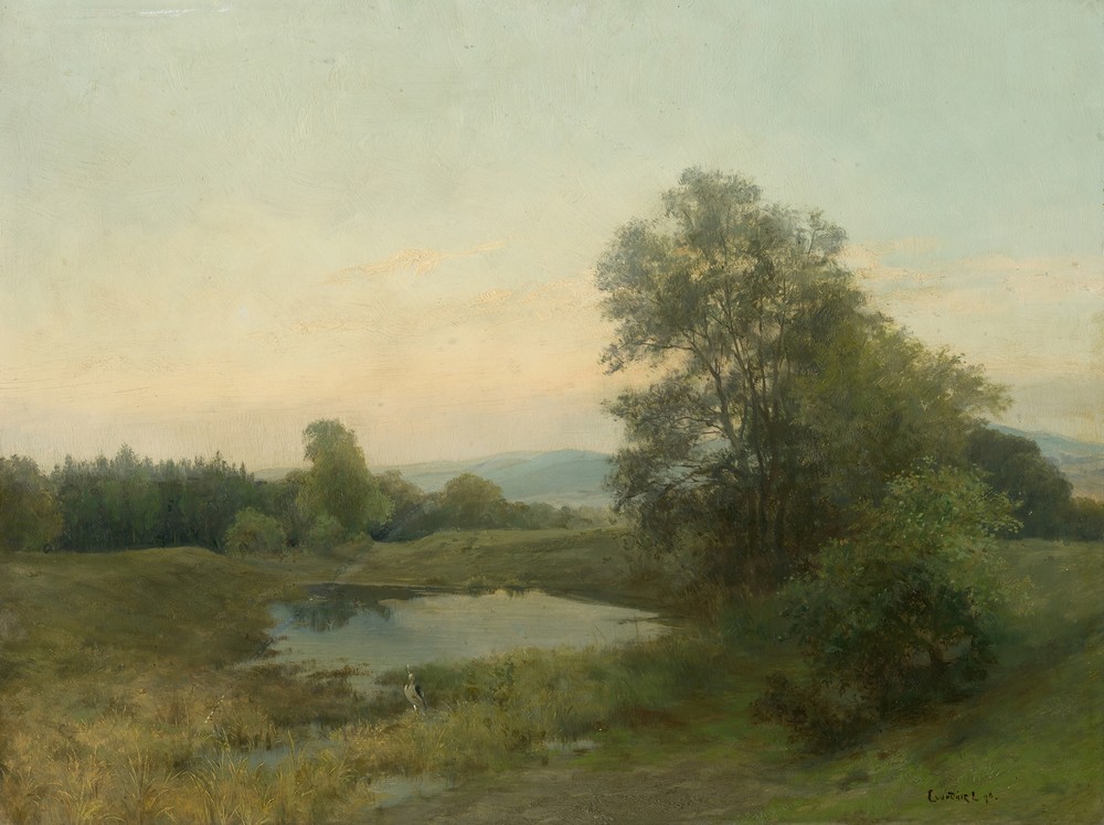 Landscape with a swamp