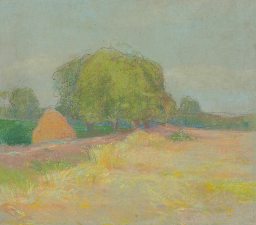 Landscape with bushy trees