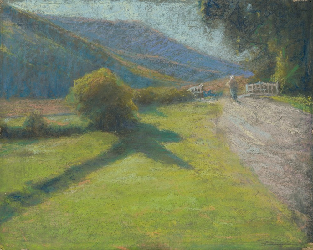 Road at the edge of the forest