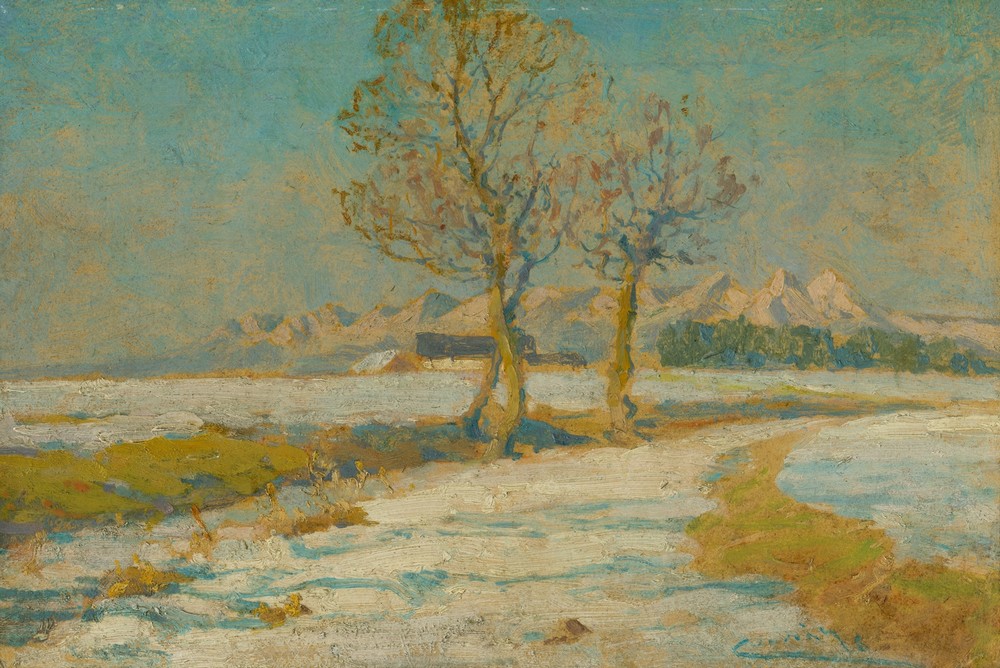 Winter landscape under the Tatras