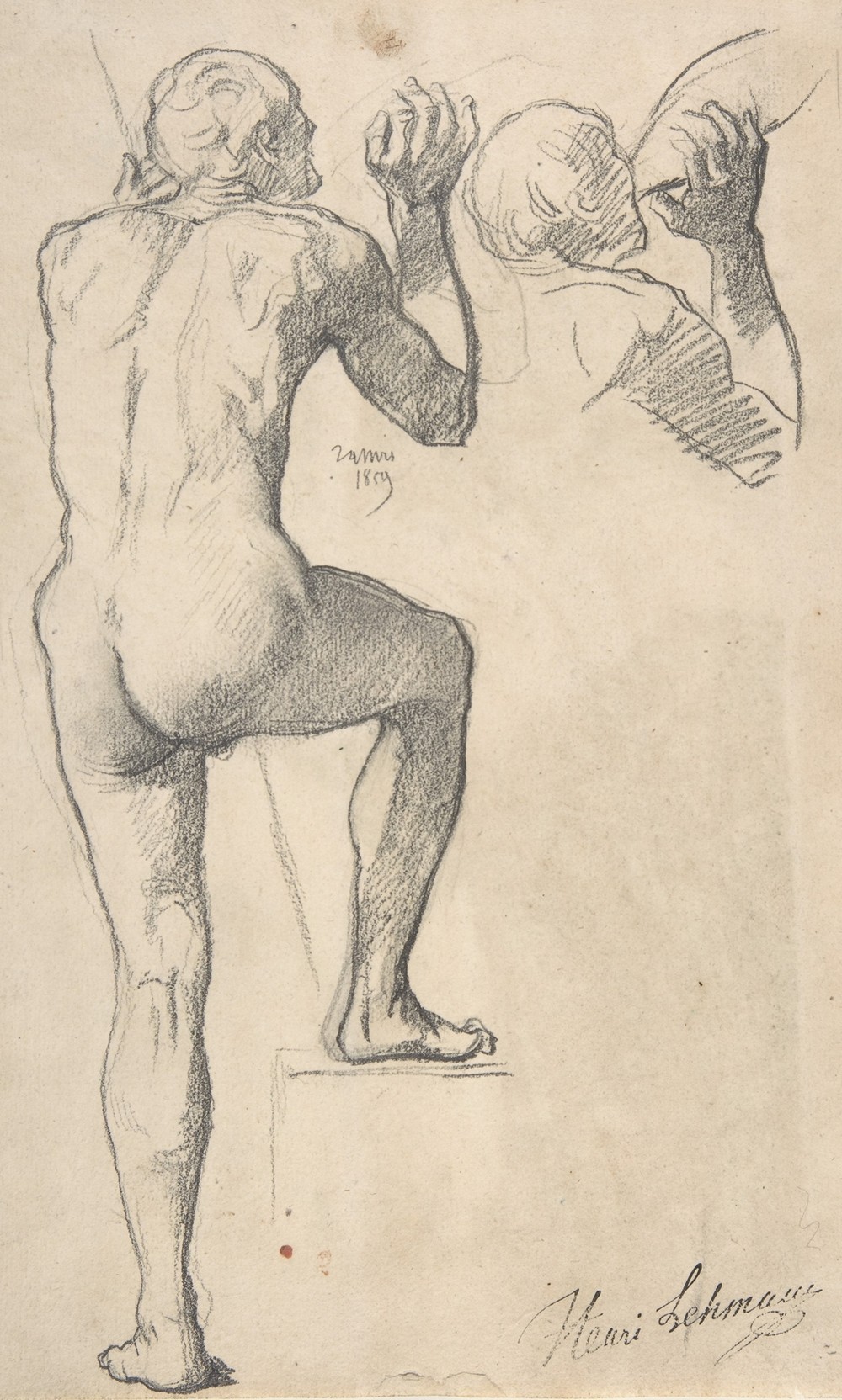 Back View of a Male Nude (19th century)