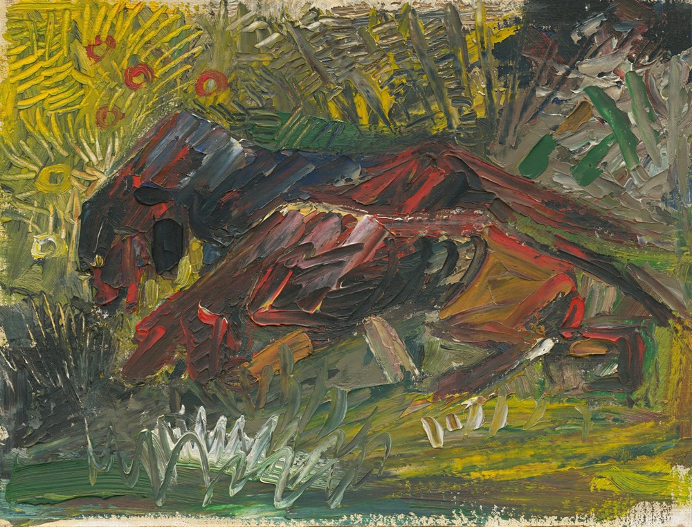 Hunting dogs