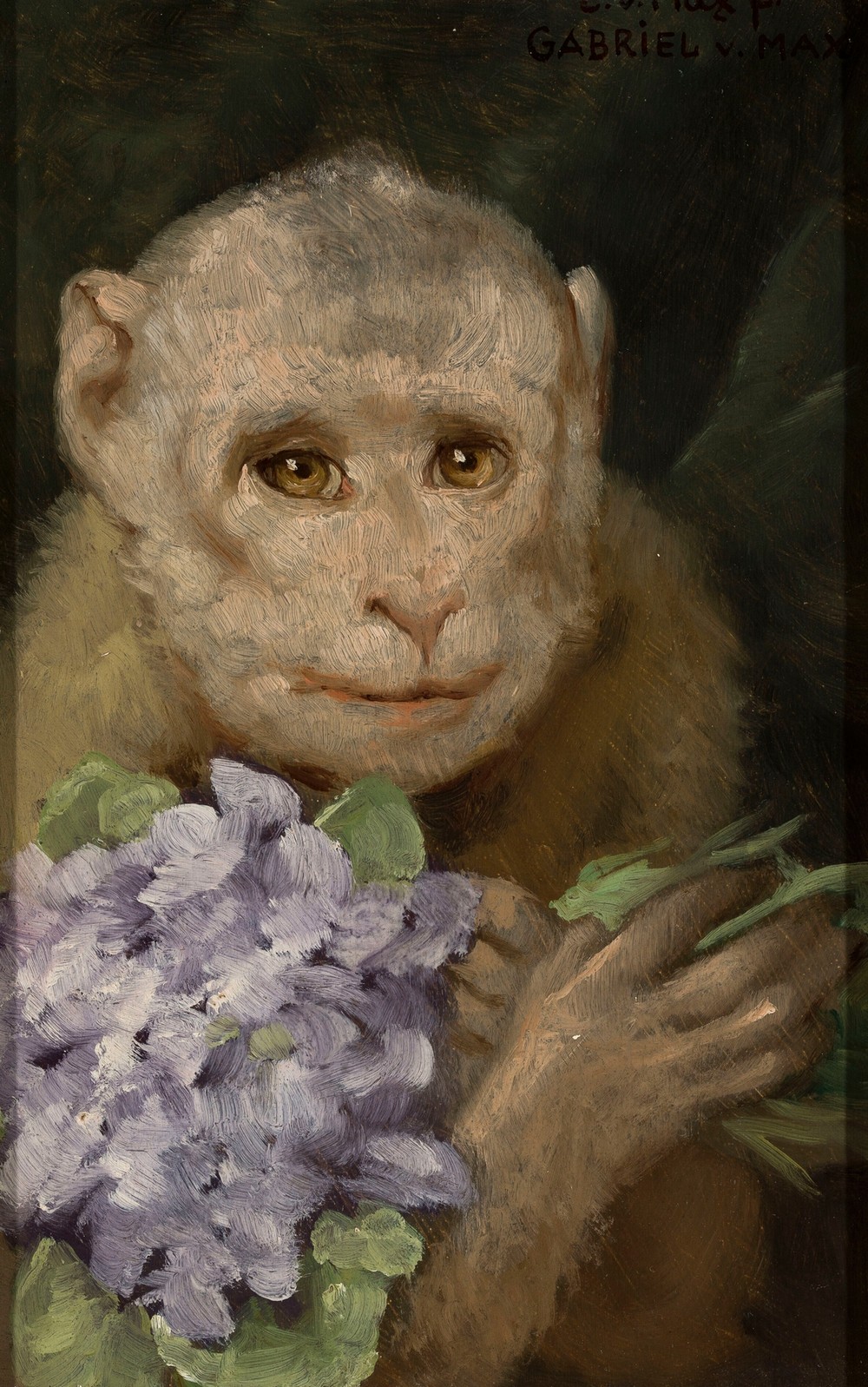 Monkey with a bouquet of violets  (1880s)