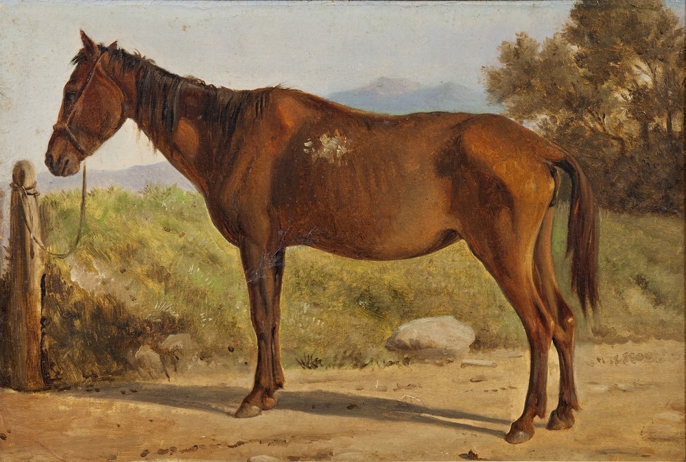 Rosinante (Study of an old standing horse) (c. 1847)