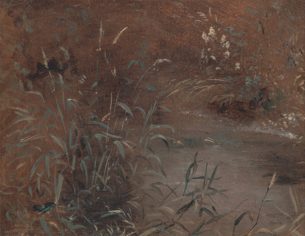 Rushes by a pool (ca. 1821)