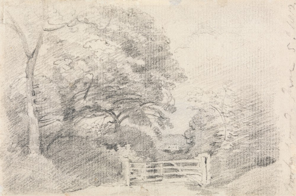Coombe Wood