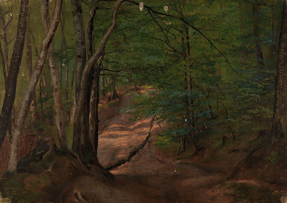 Road in the Forest