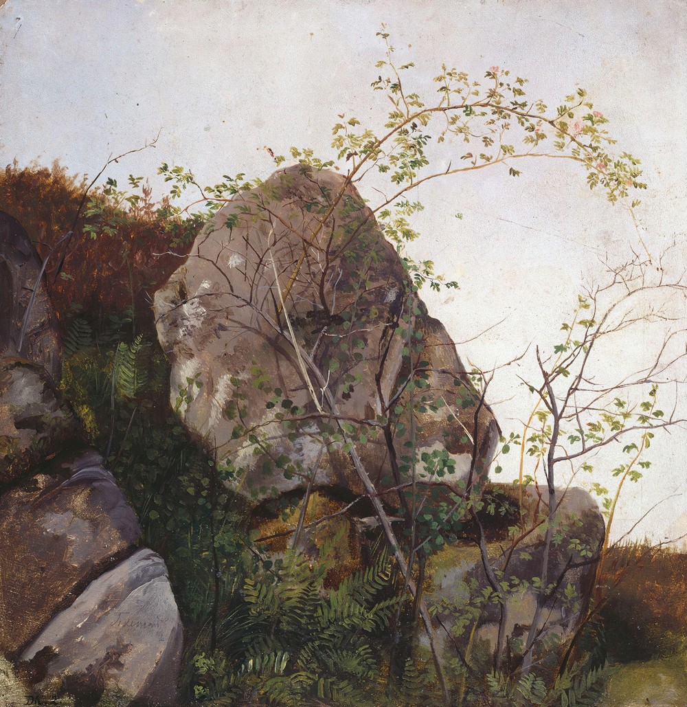 Study of Dog Roses and Ferns