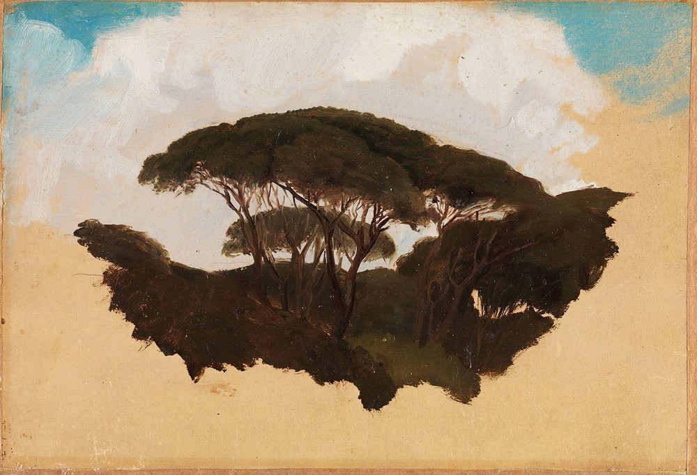 Study of Stone Pines