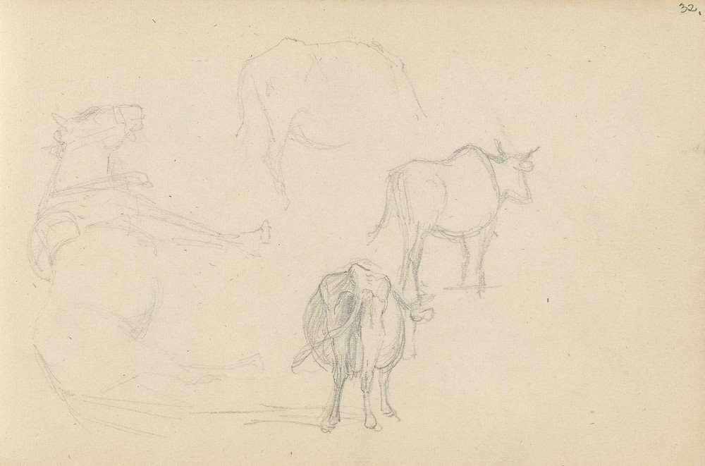 Animal studies