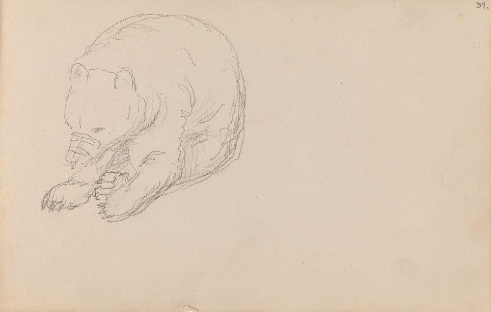 Bear (1850s)