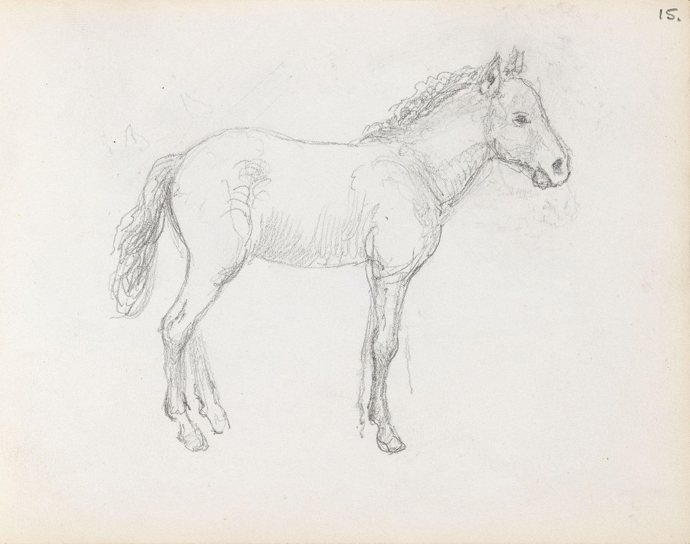 Horse study (between 1865 and 1872)