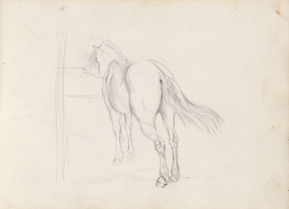 Horse (1843 or 1844)