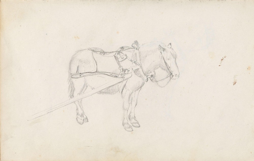 Horse (Between 1844 and 1854)