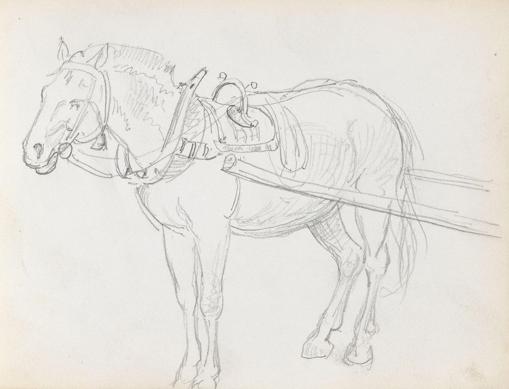 Horse (between 1865 and 1872)