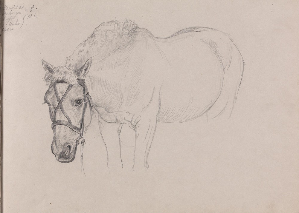 Horse (Between 1867 and 1872)