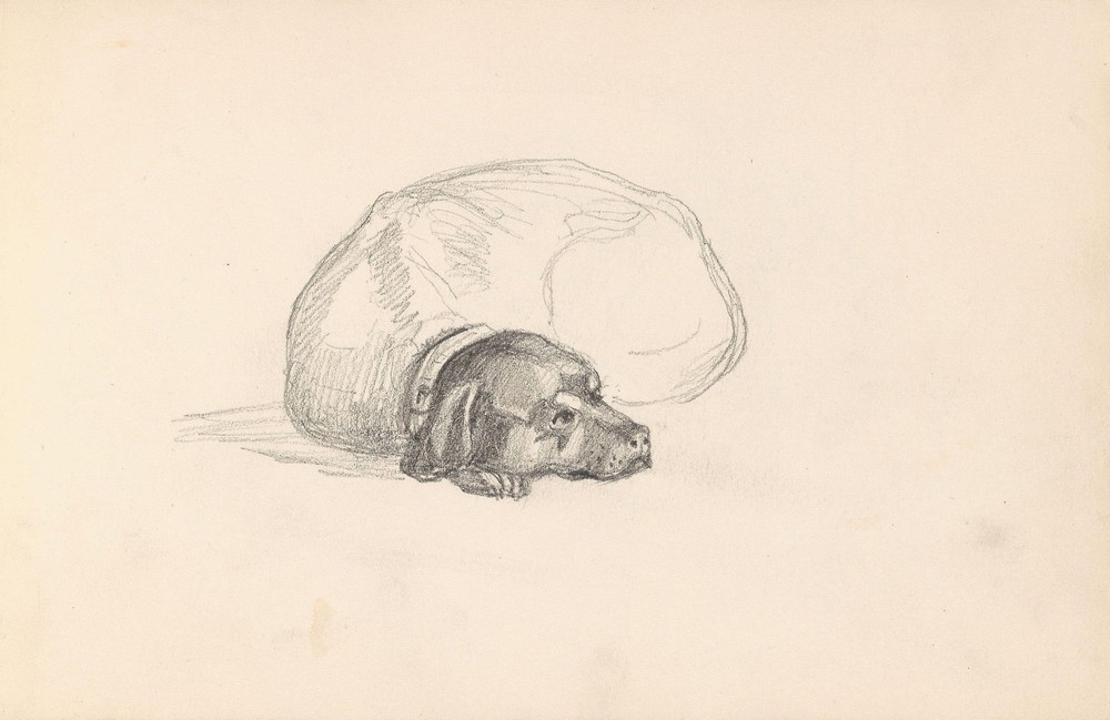 Lying dog