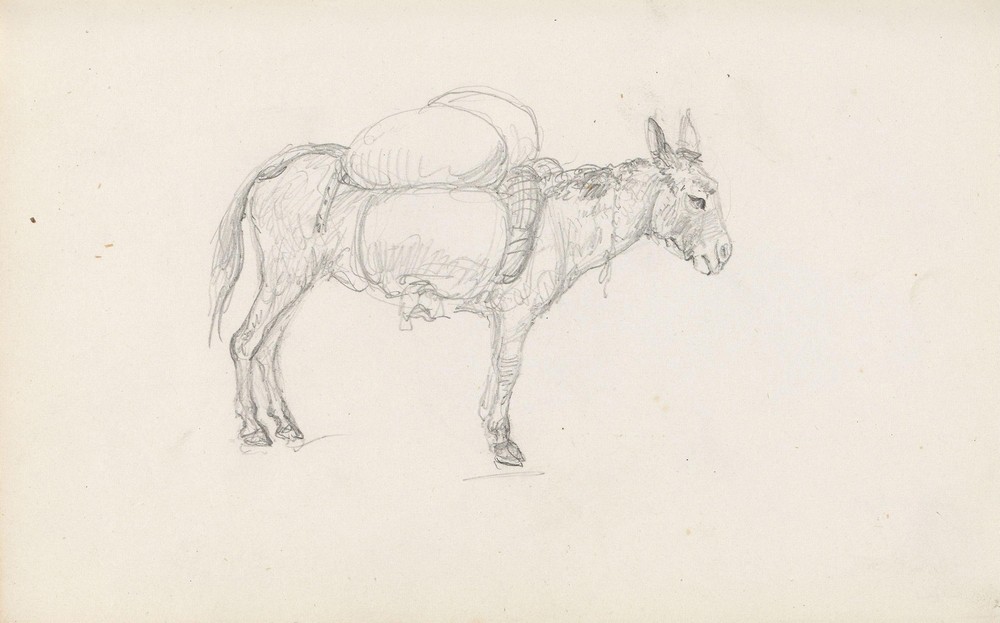 Mules (Between 1844 and 1854)