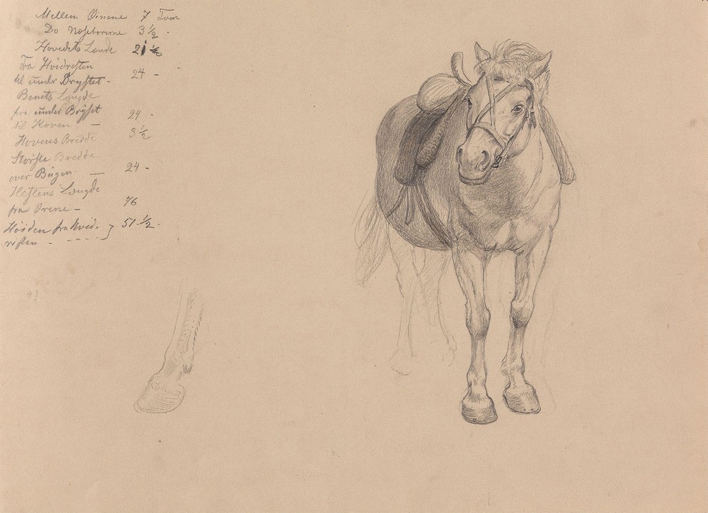 Saddled horse (Between 1867 and 1872)
