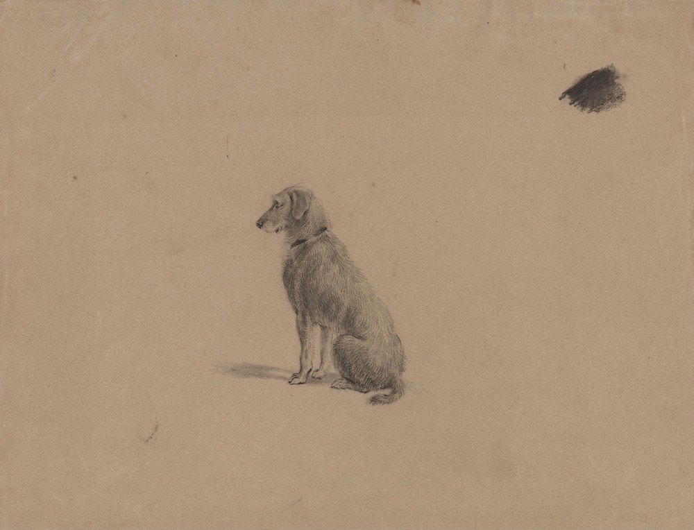 Sitting dog
