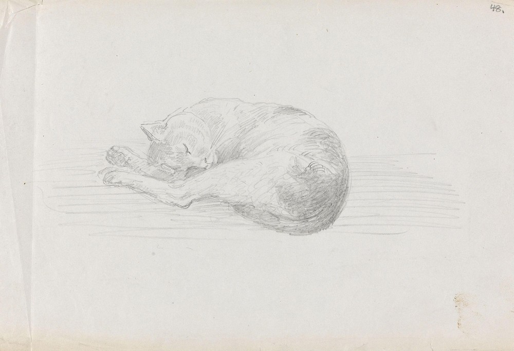 Sleeping cat (between 1855 and 1857)