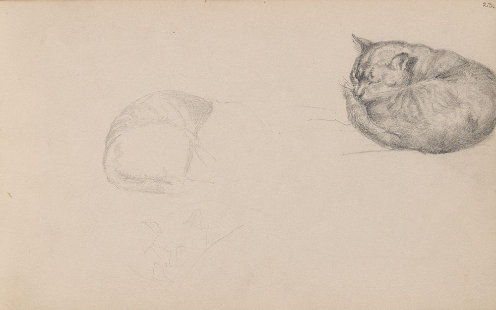 Studies of a sleeping cat (between 1855 and 1857)