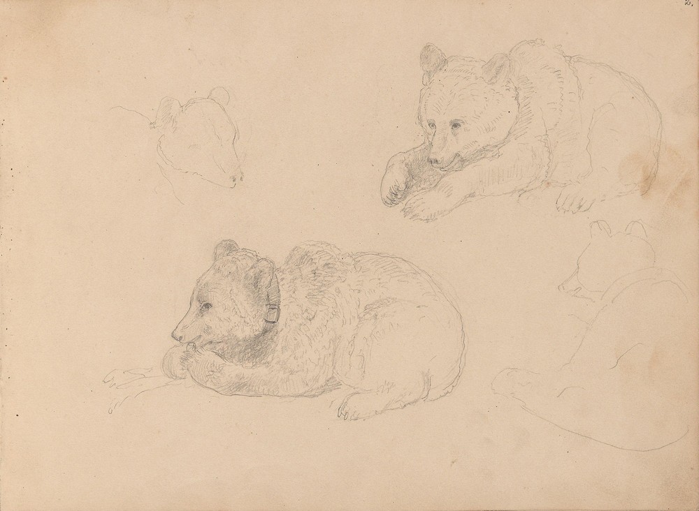 Studies of bear cubs (Between 1861 and 1863)