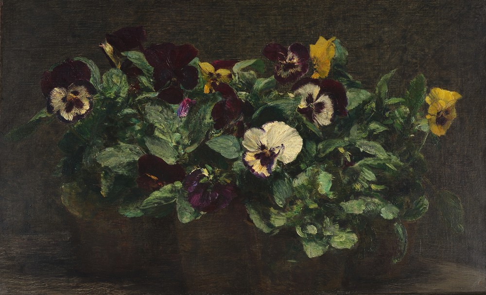 Still Life With Pansies