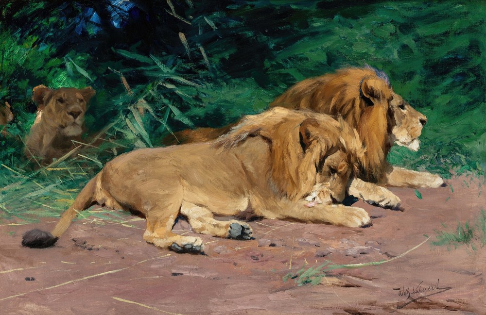 Ruhende Löwen (Lions at Rest)