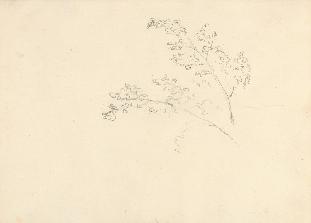 Tree Branches (1774–75)