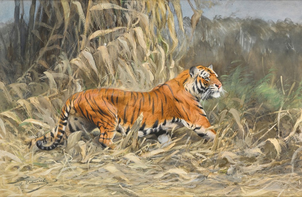 Im Dschungel (Tiger)