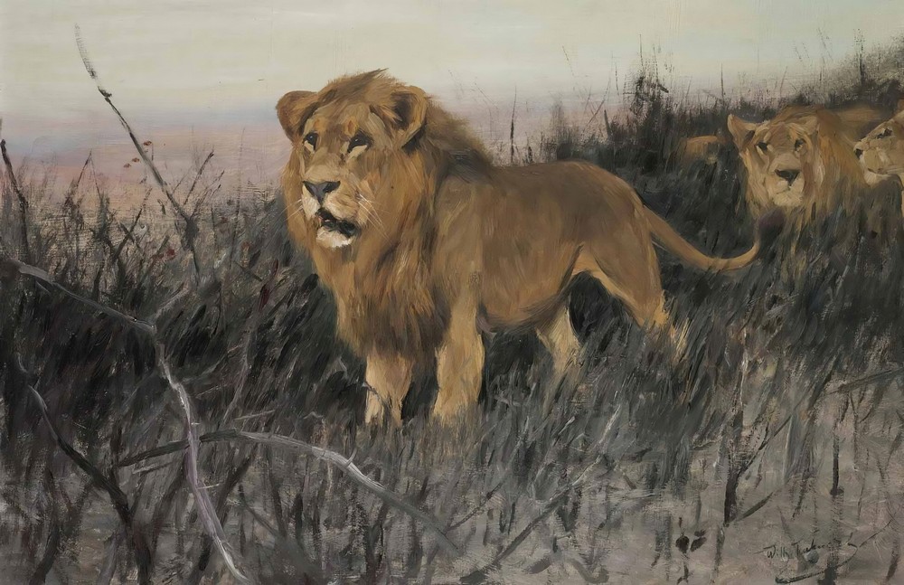 Löwen In Verbrannter Steppe (Lions In A Burnt Steppe)