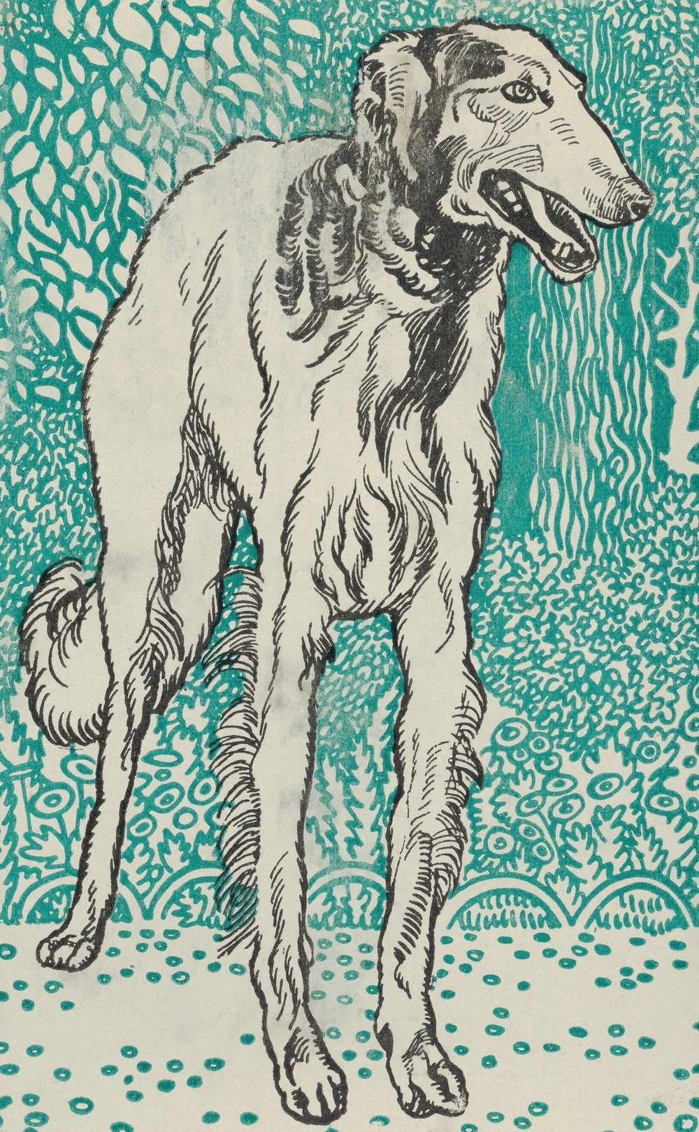 Greyhound